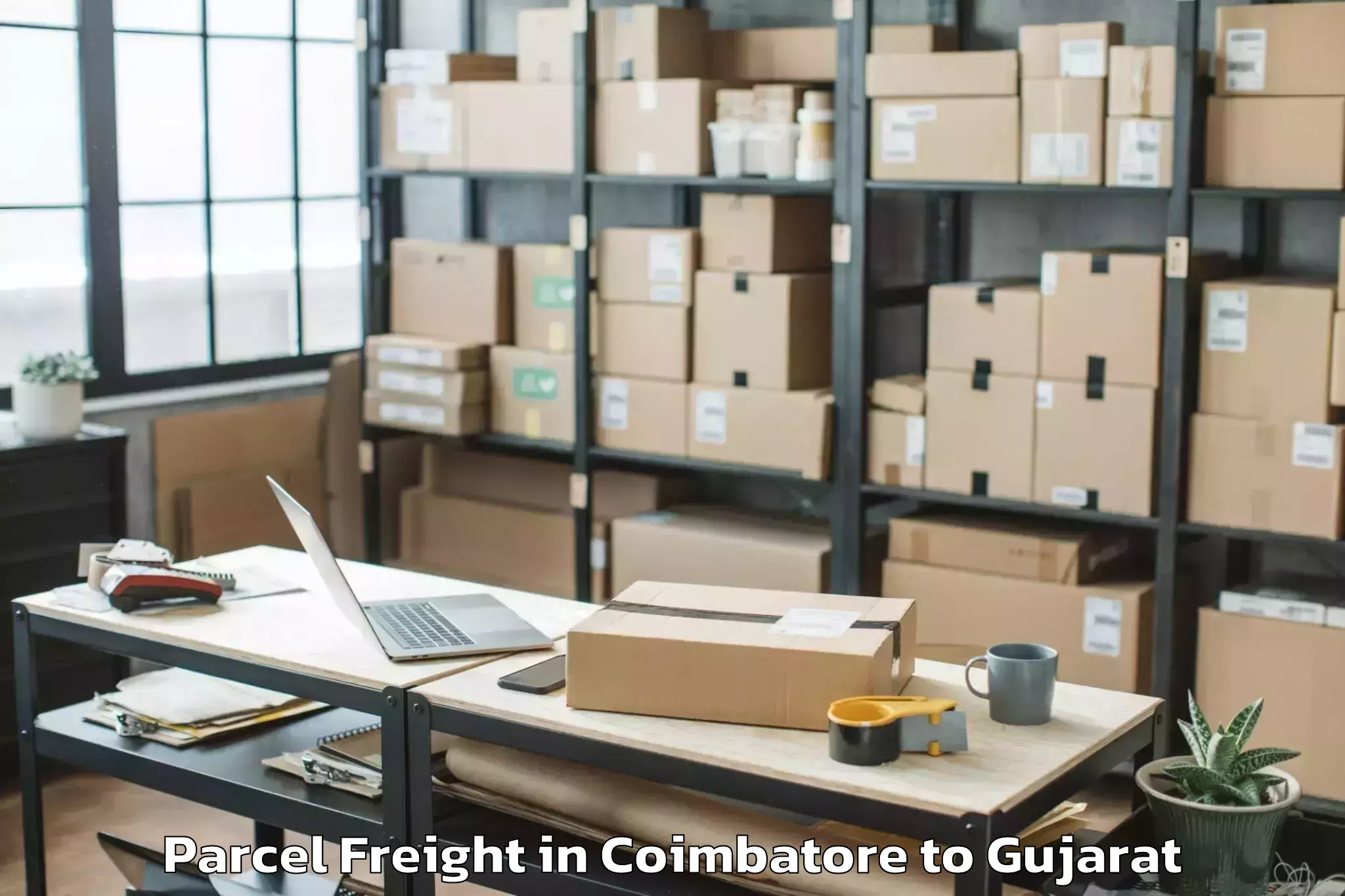 Top Coimbatore to Abhilashi University Rajkot Parcel Freight Available